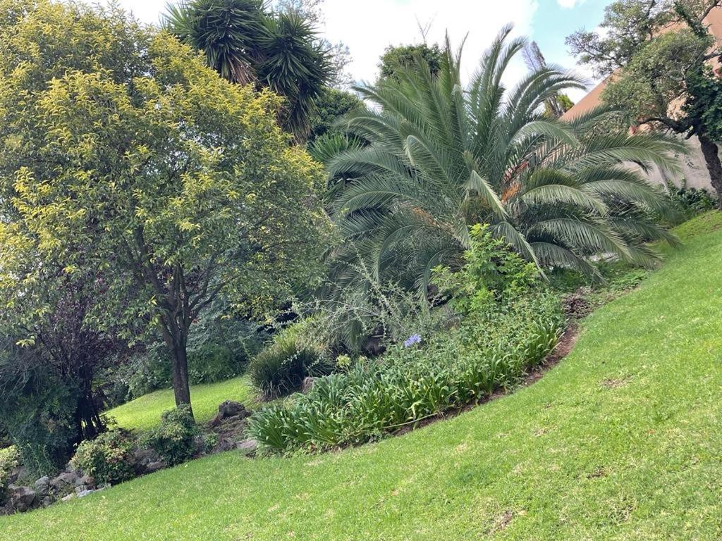 The South Way Bed and Breakfast Johannesburg Buitenkant foto